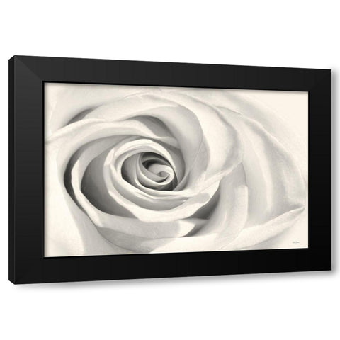 Rose II Black Modern Wood Framed Art Print with Double Matting by Deiter, Lori