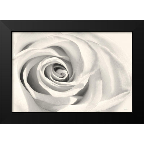 Rose II Black Modern Wood Framed Art Print by Deiter, Lori
