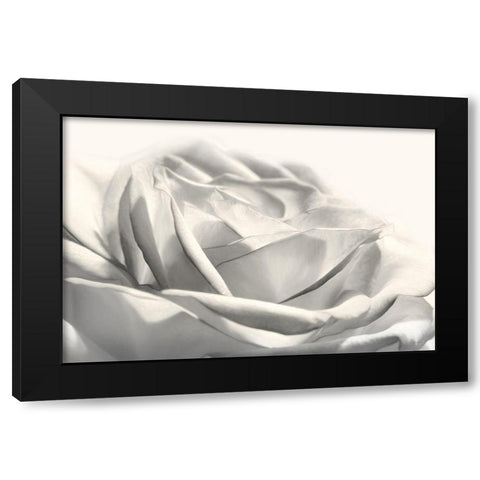Rose III Black Modern Wood Framed Art Print with Double Matting by Deiter, Lori