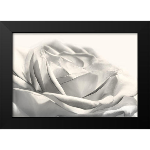 Rose III Black Modern Wood Framed Art Print by Deiter, Lori