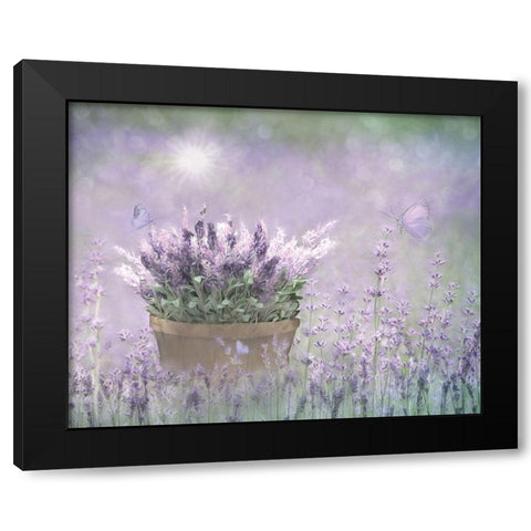 Lavender Basket Black Modern Wood Framed Art Print with Double Matting by Deiter, Lori