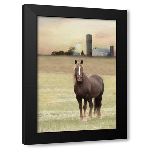 Jackson Horse Black Modern Wood Framed Art Print with Double Matting by Deiter, Lori
