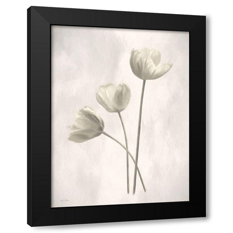 Bleached Tulips I Black Modern Wood Framed Art Print with Double Matting by Deiter, Lori