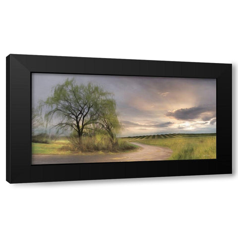 Willow Lane Black Modern Wood Framed Art Print by Deiter, Lori