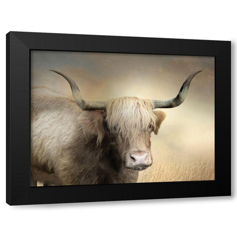 Highland Cow in Golden Grass Black Modern Wood Framed Art Print by Deiter, Lori