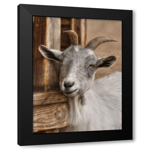Gray Goat Black Modern Wood Framed Art Print by Deiter, Lori