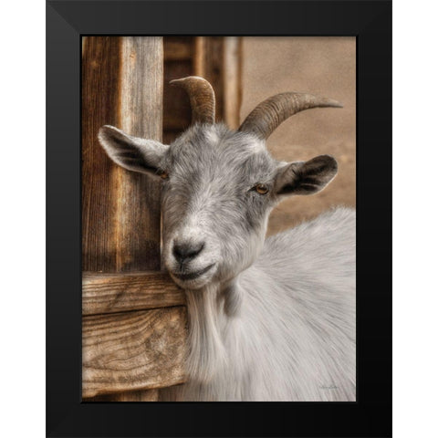 Gray Goat Black Modern Wood Framed Art Print by Deiter, Lori