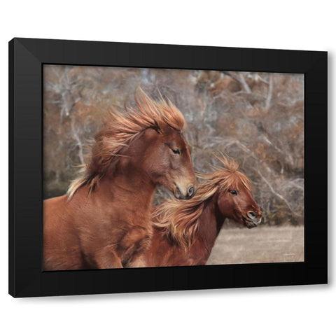 Assateague Horses II Black Modern Wood Framed Art Print with Double Matting by Deiter, Lori