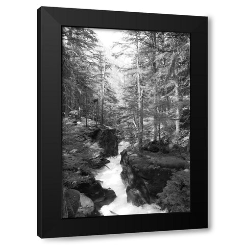 Avalanche Trail   Black Modern Wood Framed Art Print with Double Matting by Deiter, Lori