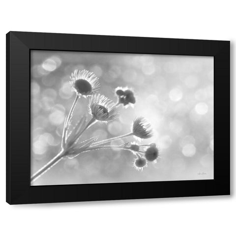 Wild Flowers I Black Modern Wood Framed Art Print by Deiter, Lori