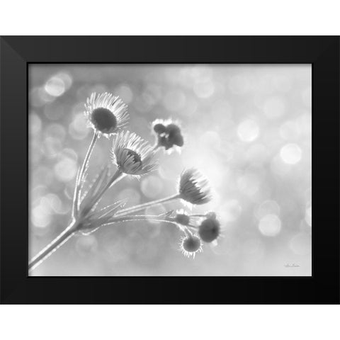 Wild Flowers I Black Modern Wood Framed Art Print by Deiter, Lori