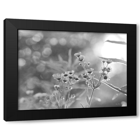 Wild Flowers III Black Modern Wood Framed Art Print with Double Matting by Deiter, Lori
