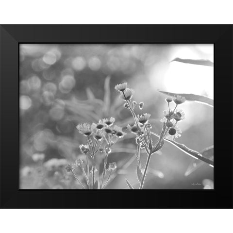 Wild Flowers III Black Modern Wood Framed Art Print by Deiter, Lori