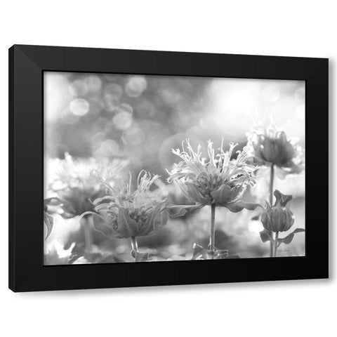 Wild Flowers IV Black Modern Wood Framed Art Print by Deiter, Lori