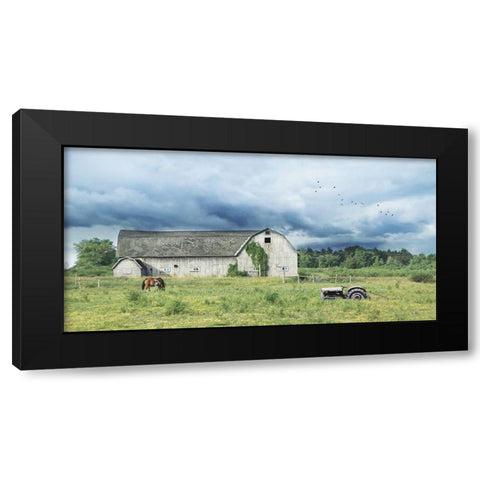 Green Pastures      Black Modern Wood Framed Art Print with Double Matting by Deiter, Lori