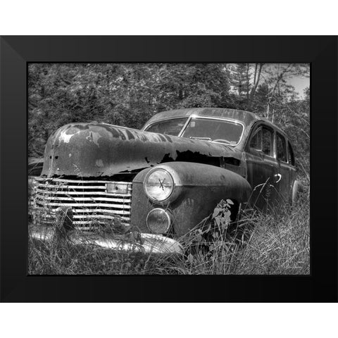 Rust Bucket Black Modern Wood Framed Art Print by Deiter, Lori