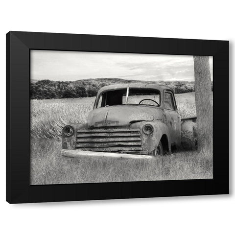 Rustic Charm II Black Modern Wood Framed Art Print by Deiter, Lori