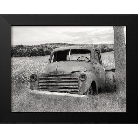 Rustic Charm II Black Modern Wood Framed Art Print by Deiter, Lori