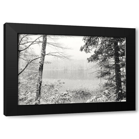 Silence is Beautiful Black Modern Wood Framed Art Print by Deiter, Lori