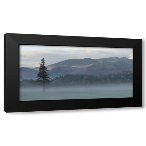 Adirondack Misty Morning Black Modern Wood Framed Art Print by Deiter, Lori
