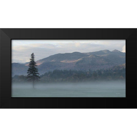 Adirondack Misty Morning Black Modern Wood Framed Art Print by Deiter, Lori