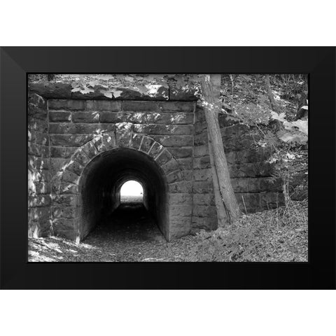 Juniata Tunnel Black Modern Wood Framed Art Print by Deiter, Lori