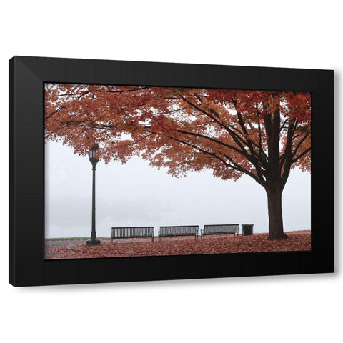 A Place to Dream Black Modern Wood Framed Art Print by Deiter, Lori