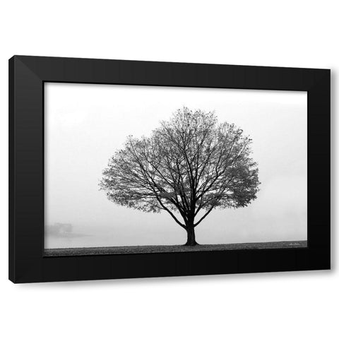 Flying Solo Black Modern Wood Framed Art Print by Deiter, Lori