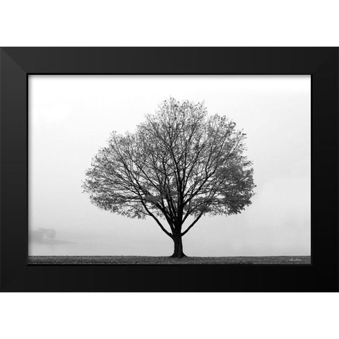 Flying Solo Black Modern Wood Framed Art Print by Deiter, Lori