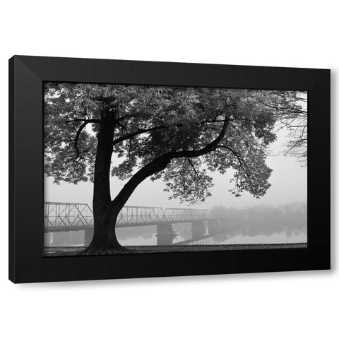 Move On Black Modern Wood Framed Art Print by Deiter, Lori