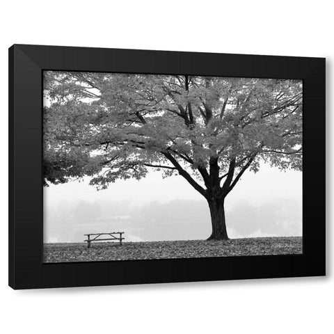 The Empty Table Black Modern Wood Framed Art Print by Deiter, Lori