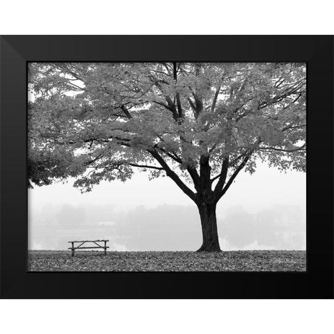 The Empty Table Black Modern Wood Framed Art Print by Deiter, Lori