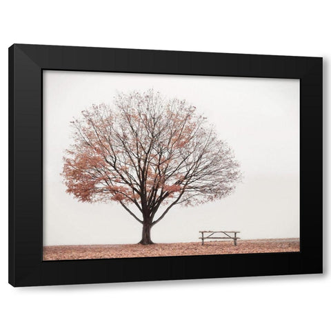 Barely There Black Modern Wood Framed Art Print with Double Matting by Deiter, Lori