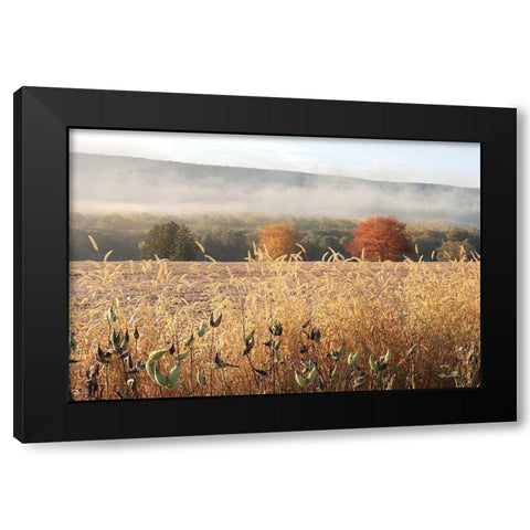 Autumn Shades Black Modern Wood Framed Art Print with Double Matting by Deiter, Lori