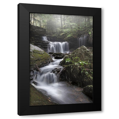 Ricketts Waterfall Black Modern Wood Framed Art Print by Deiter, Lori