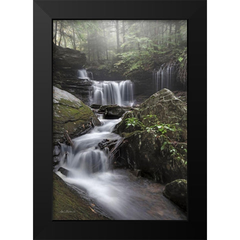 Ricketts Waterfall Black Modern Wood Framed Art Print by Deiter, Lori