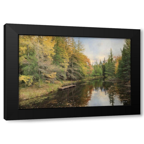 Reflections of Nature Black Modern Wood Framed Art Print by Deiter, Lori
