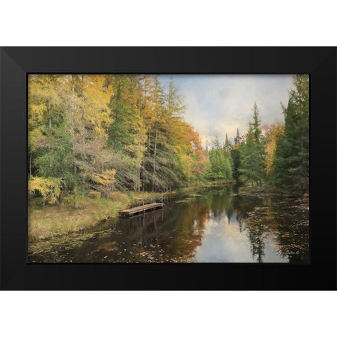 Reflections of Nature Black Modern Wood Framed Art Print by Deiter, Lori