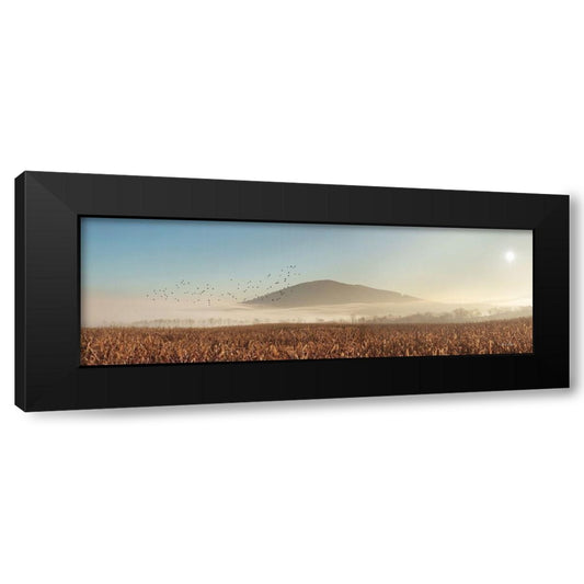 Perspective Image