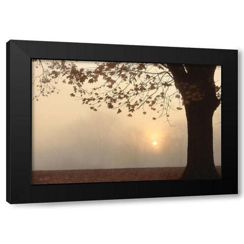Foggy Morning Sunrise Black Modern Wood Framed Art Print with Double Matting by Deiter, Lori