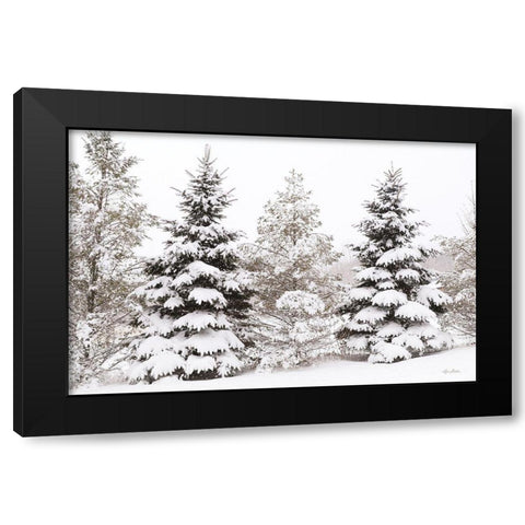 Snowy Pine Trees      Black Modern Wood Framed Art Print with Double Matting by Deiter, Lori