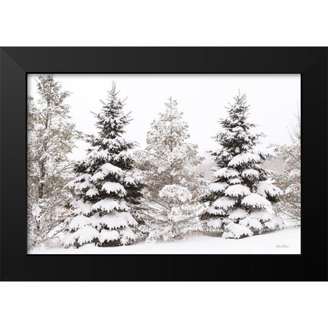 Snowy Pine Trees      Black Modern Wood Framed Art Print by Deiter, Lori