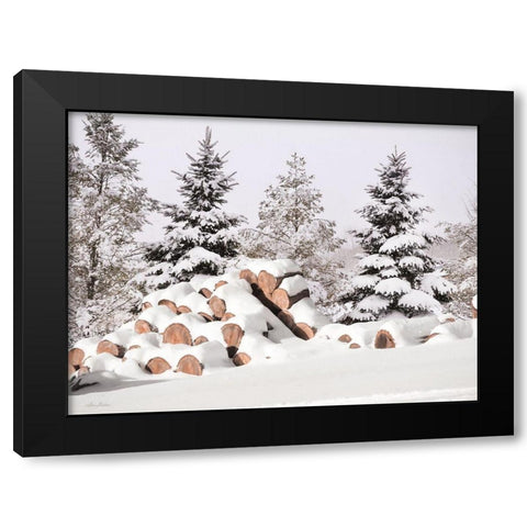 Snowy Logs     Black Modern Wood Framed Art Print with Double Matting by Deiter, Lori