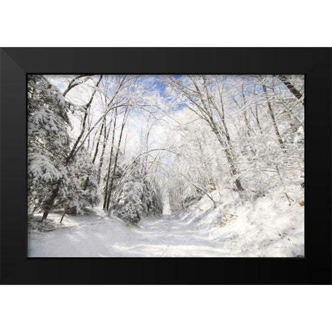 Winter Storm    Black Modern Wood Framed Art Print by Deiter, Lori