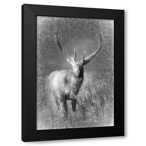 Elk Sketch   Black Modern Wood Framed Art Print by Deiter, Lori