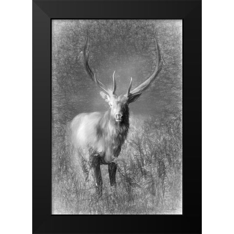 Elk Sketch   Black Modern Wood Framed Art Print by Deiter, Lori