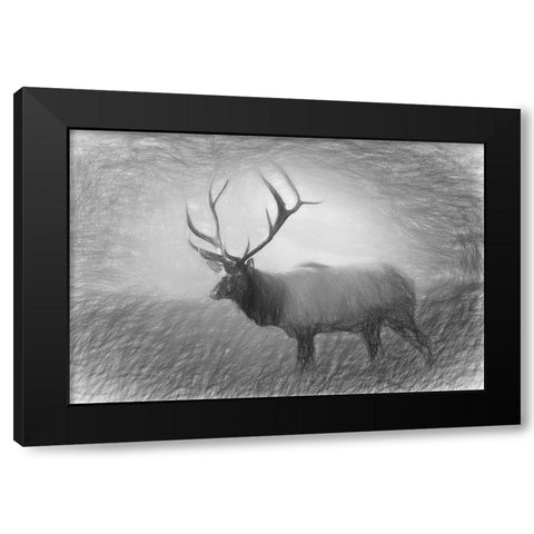 Bull Elk Sketch   Black Modern Wood Framed Art Print by Deiter, Lori
