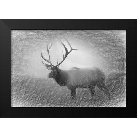 Bull Elk Sketch   Black Modern Wood Framed Art Print by Deiter, Lori