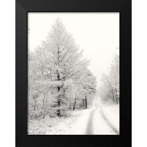 Berry Mountain Road    Black Modern Wood Framed Art Print by Deiter, Lori
