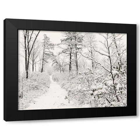 Winter Walk    Black Modern Wood Framed Art Print by Deiter, Lori